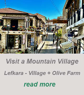 troodos mountain-lefkara-private guided tour-olive farm