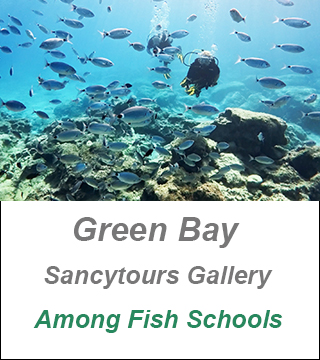 Green Bay Diveside Cyprus