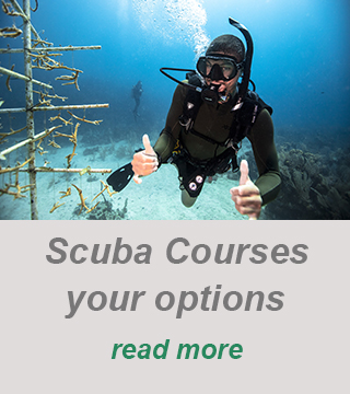 padi civecenter cyprus - private guide - scuba courses