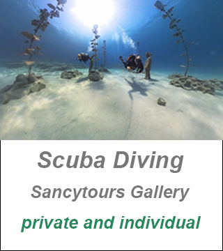 Scuba Diving Gallery Cyprus,private diving Cyprus, underwater world Cyprus
