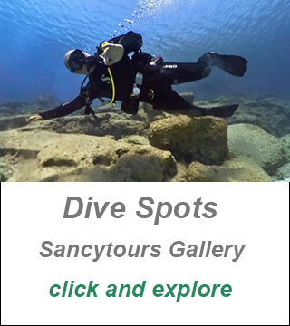 underwater photos and videos cyprus gallery, dive video cyprus