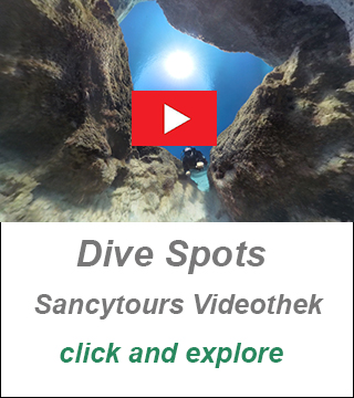 underwater photos and videos cyprus gallery, dive video cyprus