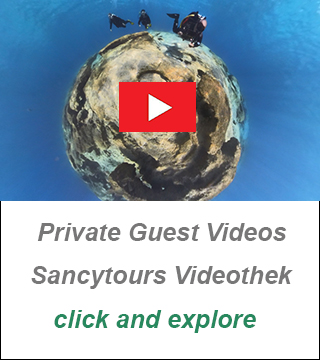 underwater photos and videos cyprus gallery, dive video cyprus