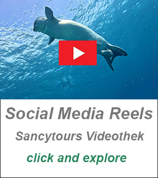underwater photos and videos cyprus gallery, dive video cyprus