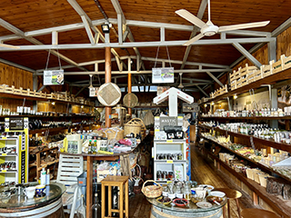 olive oil tasting Cyprus, organic olive farm, donkey farm Cyprus, Troodos Mountains tour, Cyprus countryside tour, things to do in Cyprus nature, authentic Cyprus experience