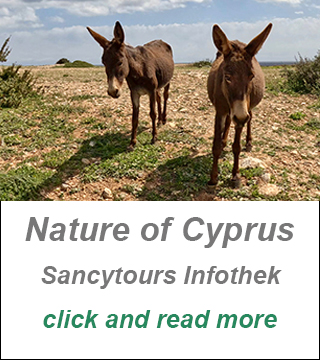 cyprus travel guide sanyctours, best places to visit cyprus