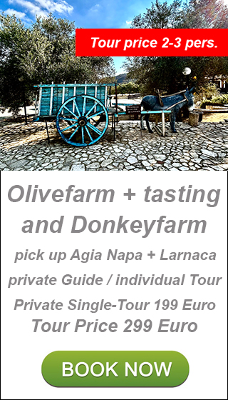 private tasting tour cyprus,sightseeing tour cyprus
