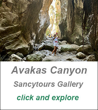 avakas canyon cyprus gallery, avakas gorge cyprus