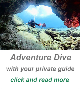 padi dive center, private scuba guide cyprus