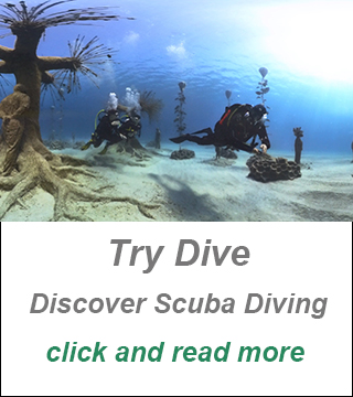 dive in cyprus,larnaca, padi divecenter