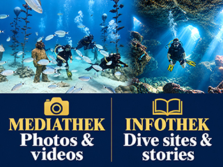 Discover Scuba Diving Cyprus – divers among fish and sculptures