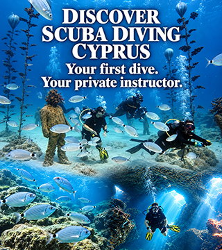 Divers, fish and underwater scenery