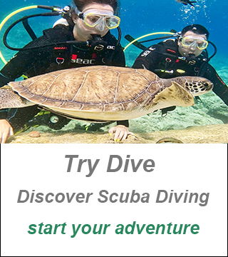 Discover Scuba Diving