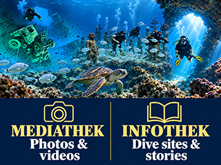 sancytours-diving-mediathek-infothek.png