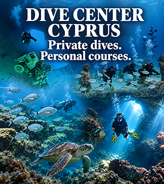 Dive center Cyprus – divers, wreck, sculptures and turtle