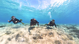 Nitrox Diver Course Online