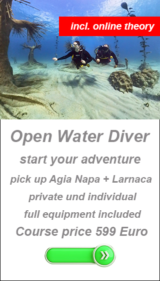padi divecenter cyprus, priavte dive course