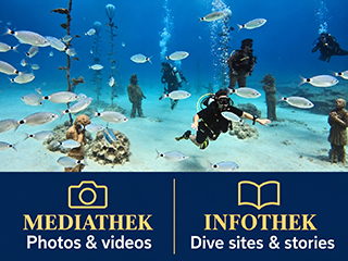 MUSAN divers and fish – Mediathek and Infothek