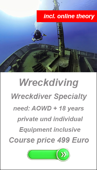 padi divecenter,dive in larnaca