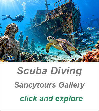 dive center cyprus,dive in larnaca,private scuba diving