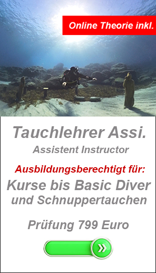 DA CMAS dive instructor training, become a dive instructor, private dive instructor course, flexible dive instructor course, scuba instructor certification