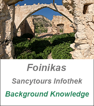 Foinikas Cyprus