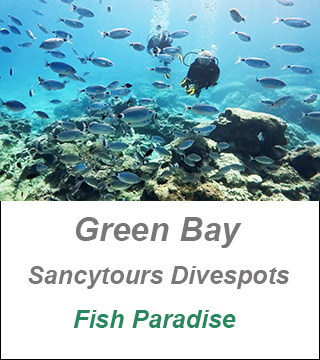 Green Bay Dive Cyprus