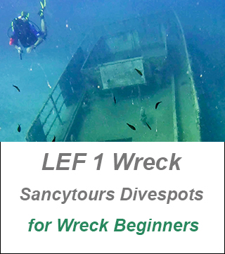 lef 1 wreck,cyprus divespot