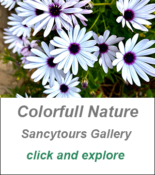 nature at cyprus, explore cyprus private guided