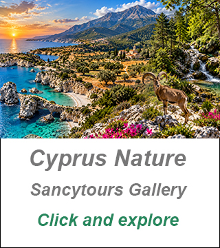 cyprus nature,cyprus private tours
