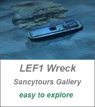 LEF 1 Wreck