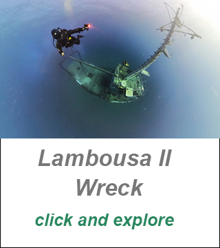 divecenter cyprus,best divespot cyprus, dive in larnaca