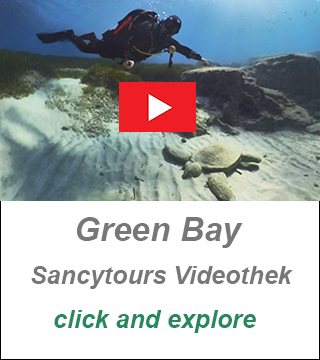 best places scuba diving cyprus,divecenter cyprus