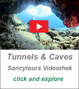 best places scuba diving cyprus,divecenter cyprus