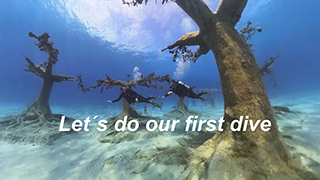 Underwater Video Gallery