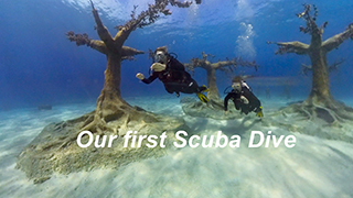 Underwater Video Gallery