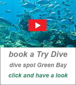 private scuba dive, private dive instructor,padi dive center cyprus
