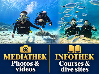 dive in larnaca,cyprus dive center