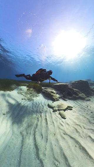 Assistant Instructor