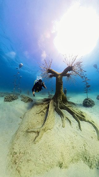 Cyprus Diving Special Offer, Cyprus dive discount, Cyprus scuba promotion