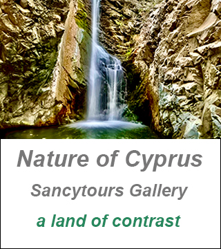 Cyprus Nature Gallery