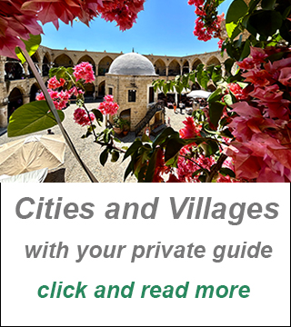 Private Guided Tours Cyprus