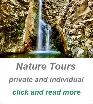 Private Guided Tours Cyprus
