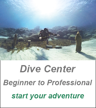 Private Guided Tours Cyprus