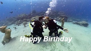 Underwater Video Gallery