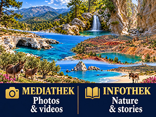 things to do in cyprus, Cyprus Nature Tours