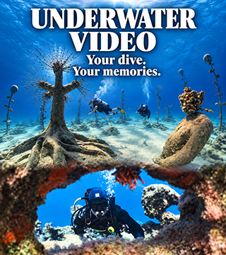 Personal underwater video in Cyprus
