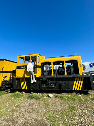 Old mining ore wagons in Lefke