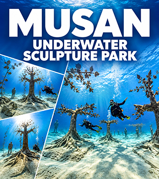 Scuba divers exploring submerged tree and human sculptures at MUSAN underwater sculpture park in Cyprus