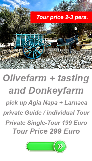 olive farm and tasting,cyprus private tours